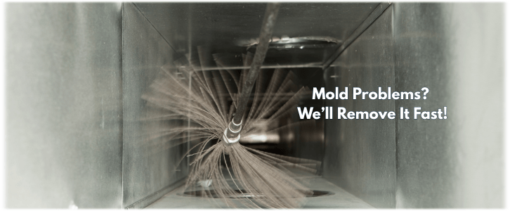 Air Duct Mold Removal in Plano