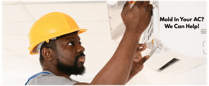 HVAC Mold Removal Plano